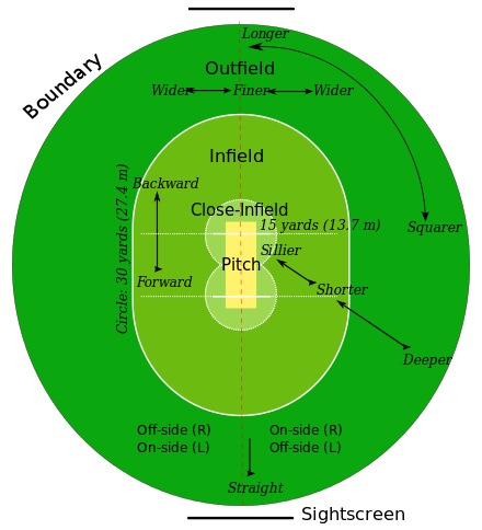 Cricket Image